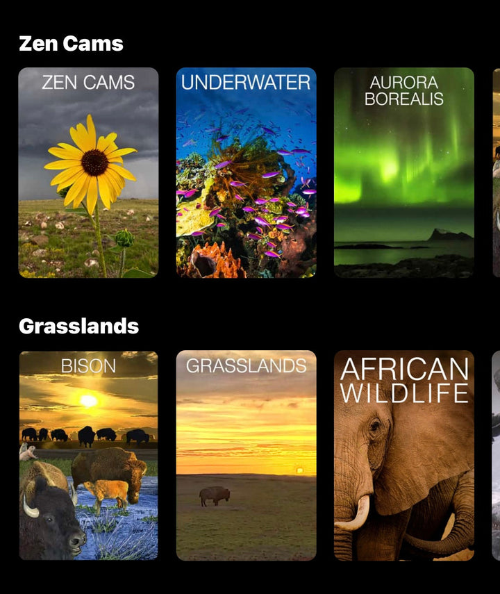WILDLIFE LIVE VIDEO CAMS